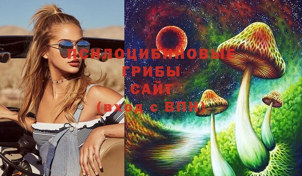 кокс Баксан
